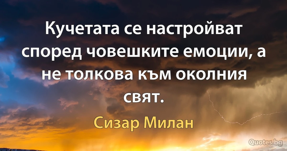 Кучетата се настройват според човешките емоции, а не толкова към околния свят. (Сизар Милан)