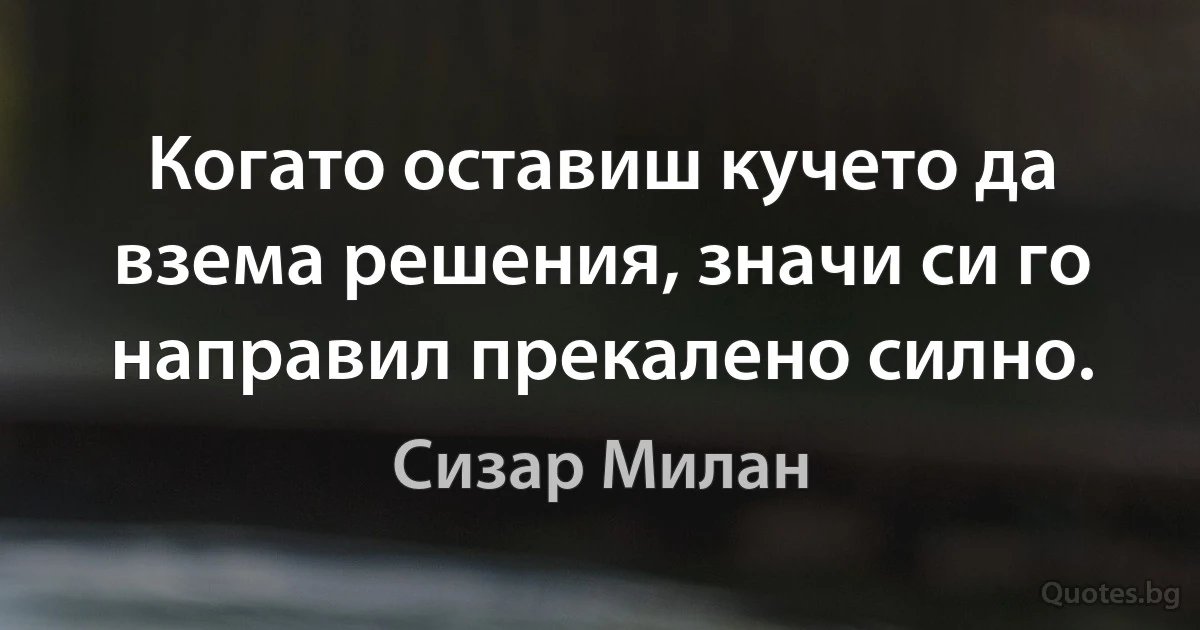 Когато оставиш кучето да взема решения, значи си го направил прекалено силно. (Сизар Милан)