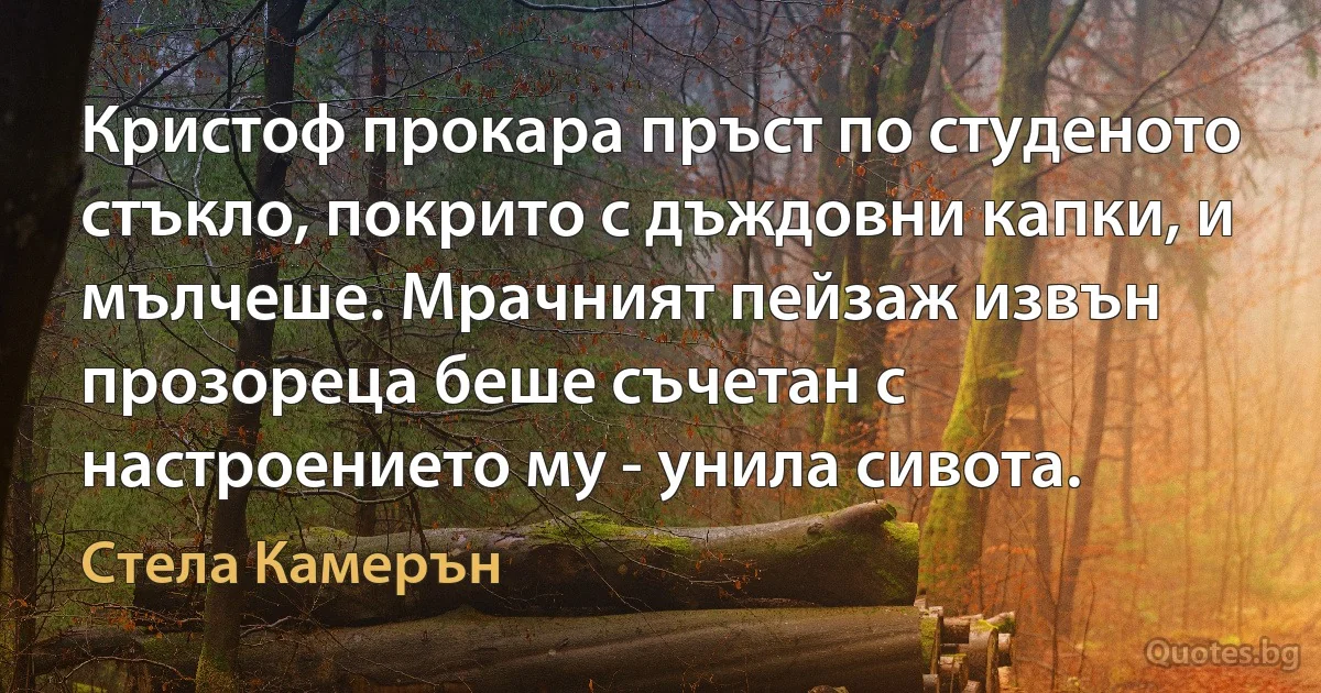 Кристоф прокара пръст по студеното стъкло, покрито с дъждовни капки, и мълчеше. Мрачният пейзаж извън прозореца беше съчетан с настроението му - унила сивота. (Стела Камерън)