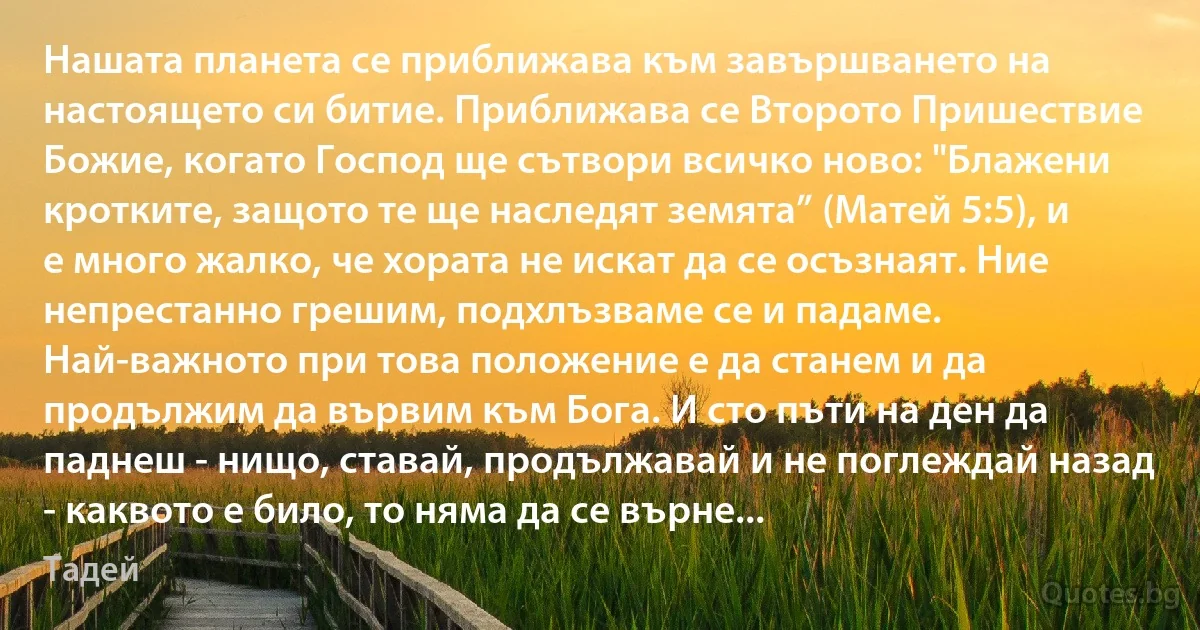 Нашата планета се приближава към завършването на настоящето си битие. Приближава се Второто Пришествие Божие, когато Господ ще сътвори всичко ново: "Блажени кротките, защото те ще наследят земята” (Матей 5:5), и е много жалко, че хората не искат да се осъзнаят. Ние непрестанно грешим, подхлъзваме се и падаме. Най-важното при това положение е да станем и да продължим да вървим към Бога. И сто пъти на ден да паднеш - нищо, ставай, продължавай и не поглеждай назад - каквото е било, то няма да се върне... (Тадей)