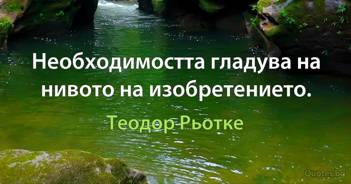 Необходимостта гладува на нивото на изобретението. (Теодор Рьотке)