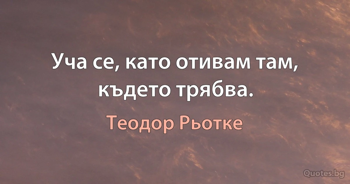 Уча се, като отивам там, където трябва. (Теодор Рьотке)