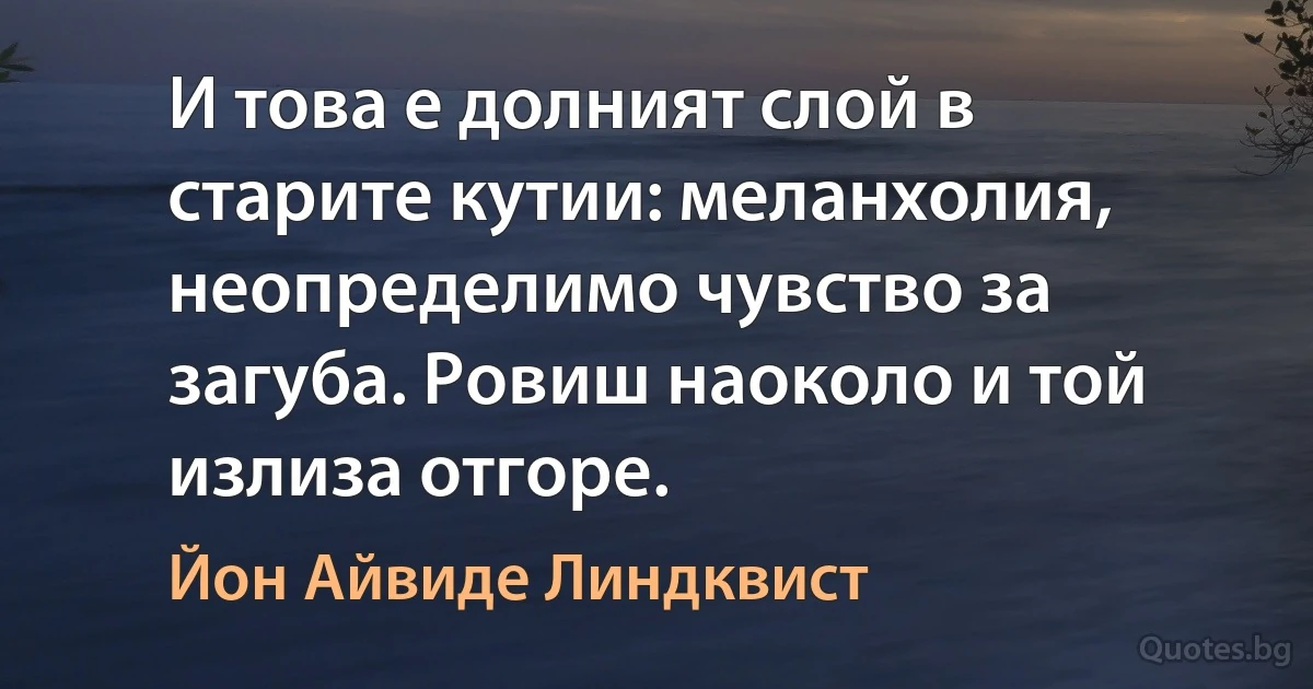 И това е долният слой в старите кутии: меланхолия, неопределимо чувство за загуба. Ровиш наоколо и той излиза отгоре. (Йон Айвиде Линдквист)