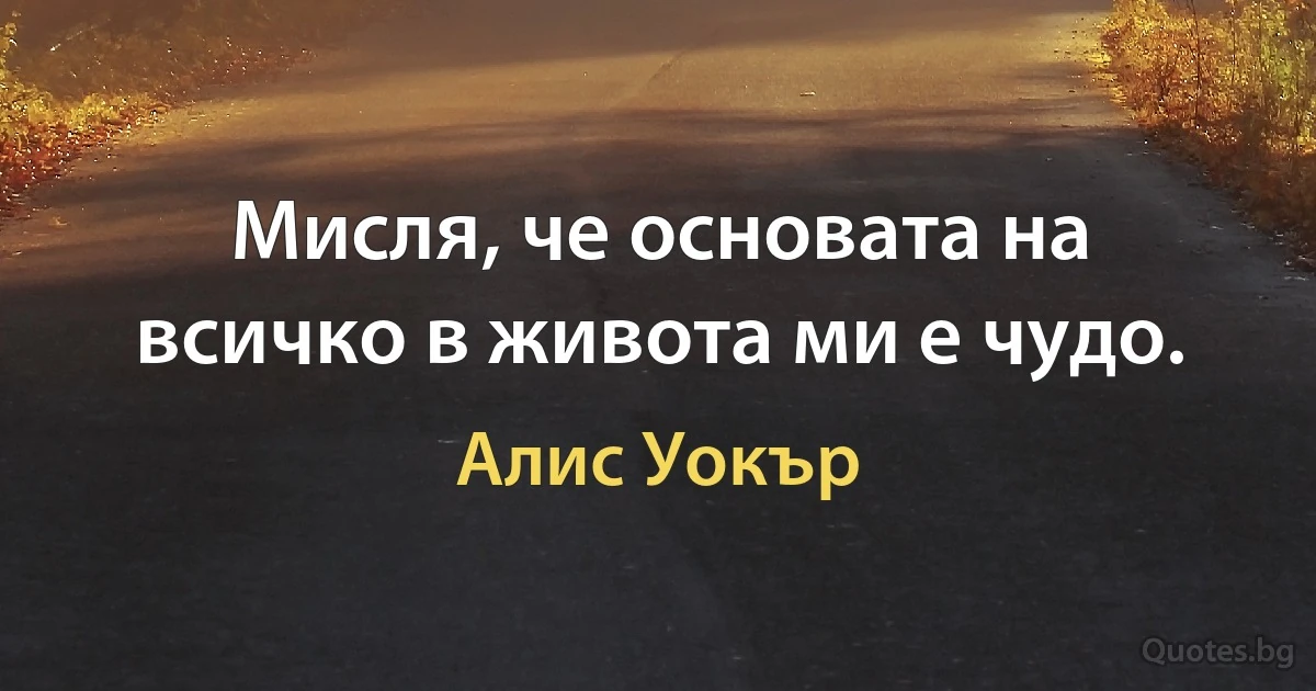 Мисля, че основата на всичко в живота ми е чудо. (Алис Уокър)