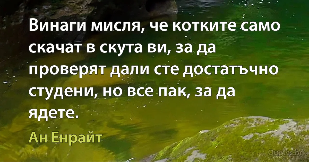 Винаги мисля, че котките само скачат в скута ви, за да проверят дали сте достатъчно студени, но все пак, за да ядете. (Ан Енрайт)