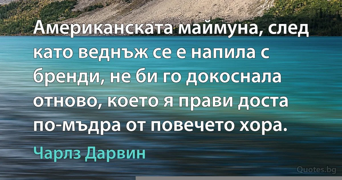 Американската маймуна, след като веднъж се е напила с бренди, не би го докоснала отново, което я прави доста по-мъдра от повечето хора. (Чарлз Дарвин)