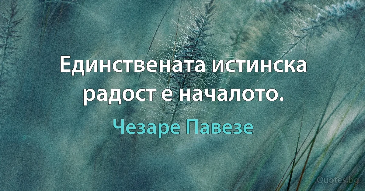 Единствената истинска радост е началото. (Чезаре Павезе)