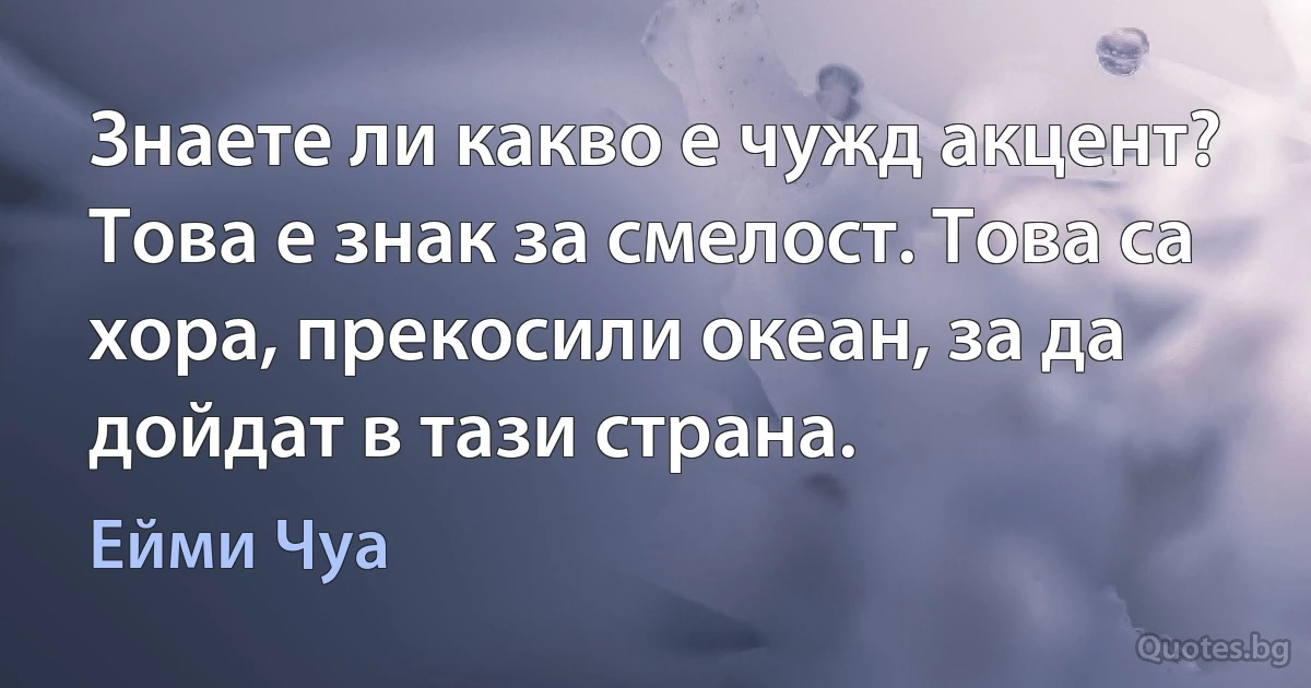 Знаете ли какво е чужд акцент? Това е знак за смелост. Това са хора, прекосили океан, за да дойдат в тази страна. (Ейми Чуа)