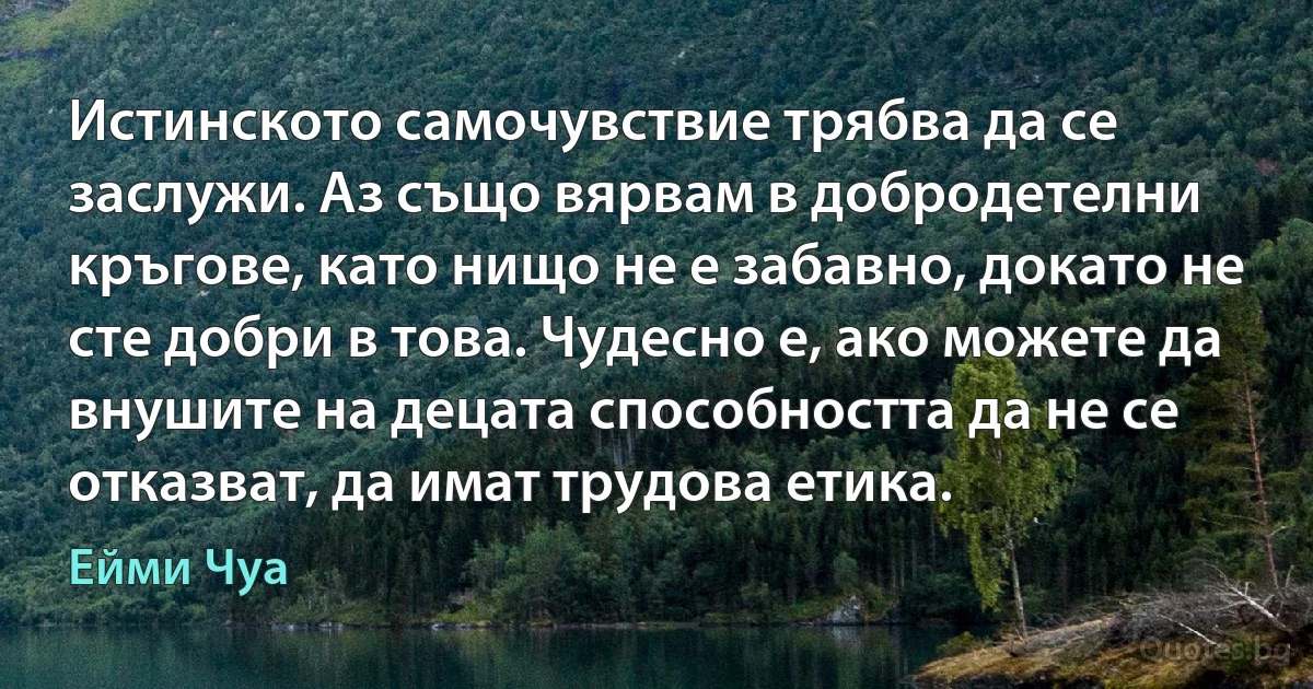 Истинското самочувствие трябва да се заслужи. Аз също вярвам в добродетелни кръгове, като нищо не е забавно, докато не сте добри в това. Чудесно е, ако можете да внушите на децата способността да не се отказват, да имат трудова етика. (Ейми Чуа)