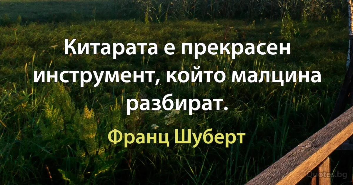 Китарата е прекрасен инструмент, който малцина разбират. (Франц Шуберт)