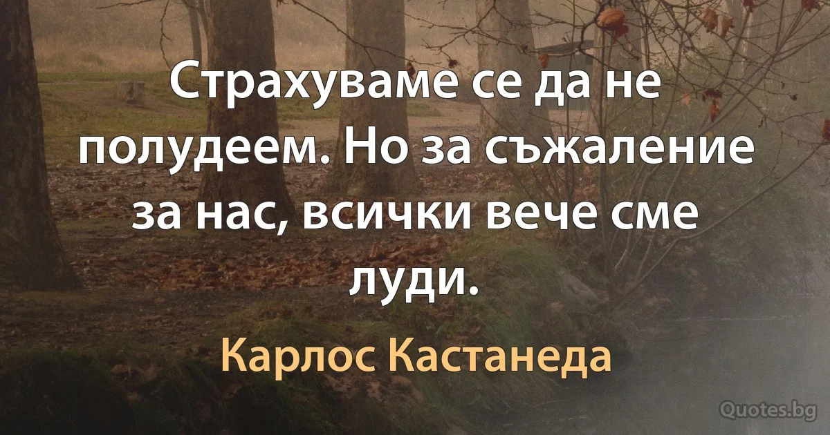 Страхуваме се да не полудеем. Но за съжаление за нас, всички вече сме луди. (Карлос Кастанеда)