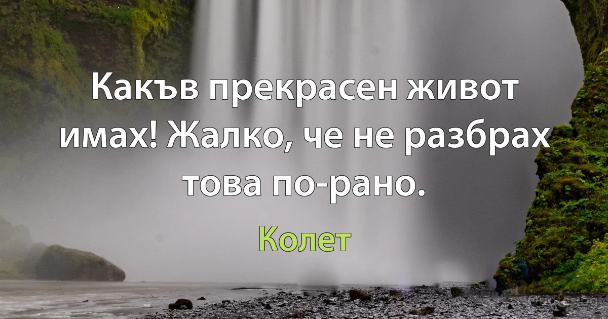 Какъв прекрасен живот имах! Жалко, че не разбрах това по-рано. (Колет)