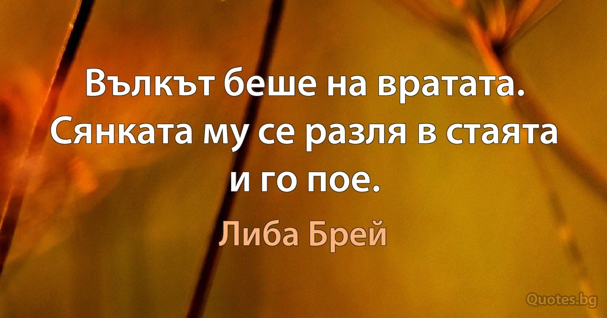 Вълкът беше на вратата. Сянката му се разля в стаята и го пое. (Либа Брей)