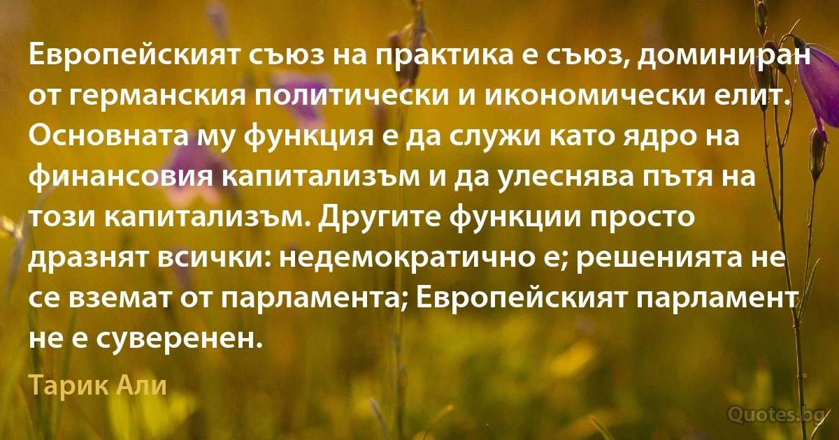 Европейският съюз на практика е съюз, доминиран от германския политически и икономически елит. Основната му функция е да служи като ядро на финансовия капитализъм и да улеснява пътя на този капитализъм. Другите функции просто дразнят всички: недемократично е; решенията не се вземат от парламента; Европейският парламент не е суверенен. (Тарик Али)