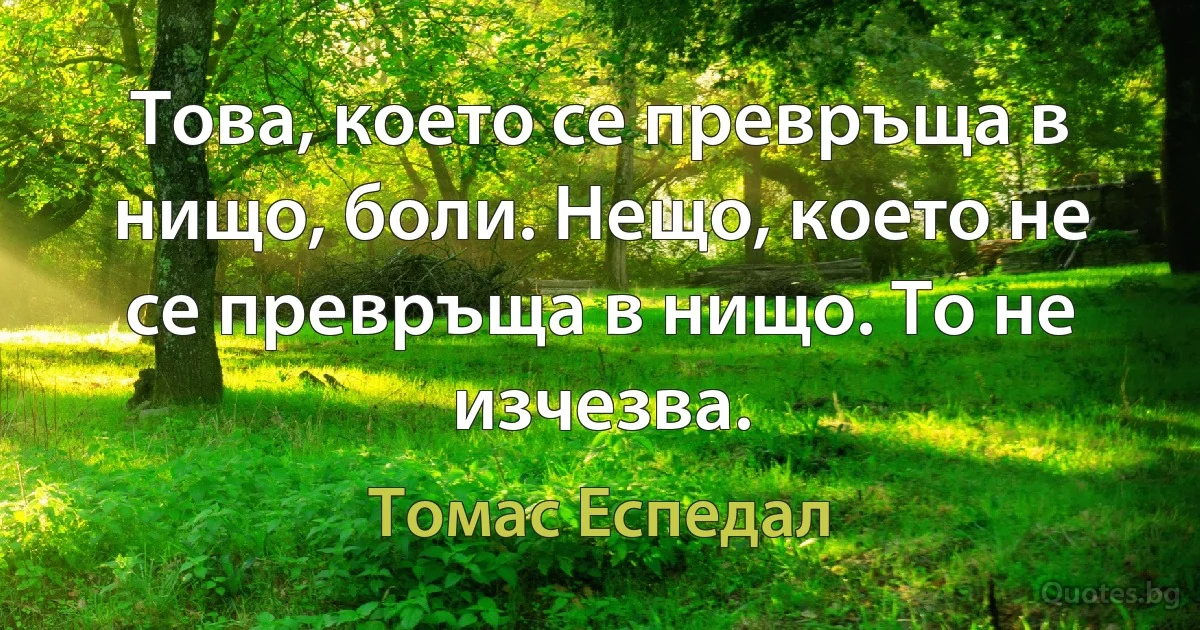 Това, което се превръща в нищо, боли. Нещо, което не се превръща в нищо. То не изчезва. (Томас Еспедал)