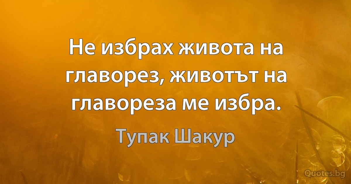 Не избрах живота на главорез, животът на главореза ме избра. (Тупак Шакур)