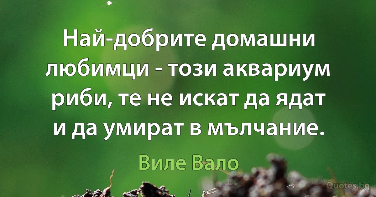 Най-добрите домашни любимци - този аквариум риби, те не искат да ядат и да умират в мълчание. (Виле Вало)