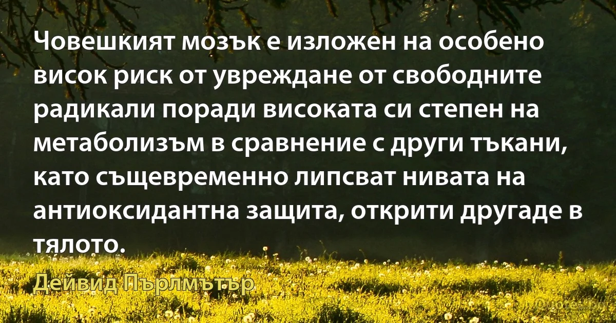 Човешкият мозък е изложен на особено висок риск от увреждане от свободните радикали поради високата си степен на метаболизъм в сравнение с други тъкани, като същевременно липсват нивата на антиоксидантна защита, открити другаде в тялото. (Дейвид Пърлмътър)