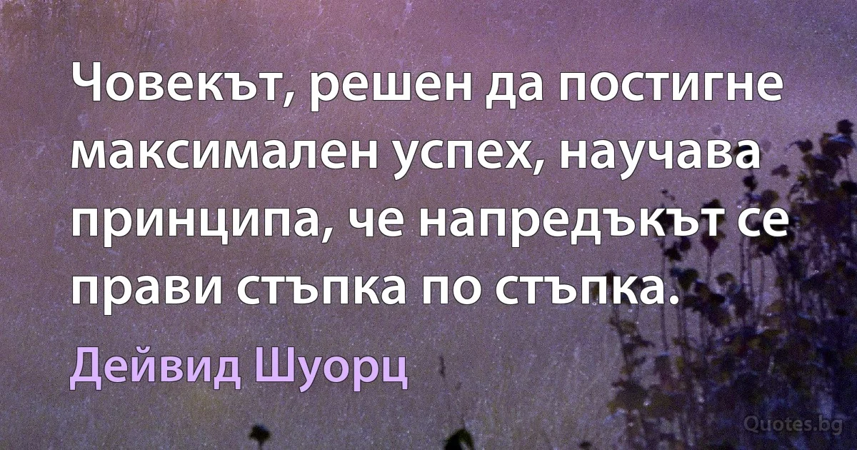 Човекът, решен да постигне максимален успех, научава принципа, че напредъкът се прави стъпка по стъпка. (Дейвид Шуорц)