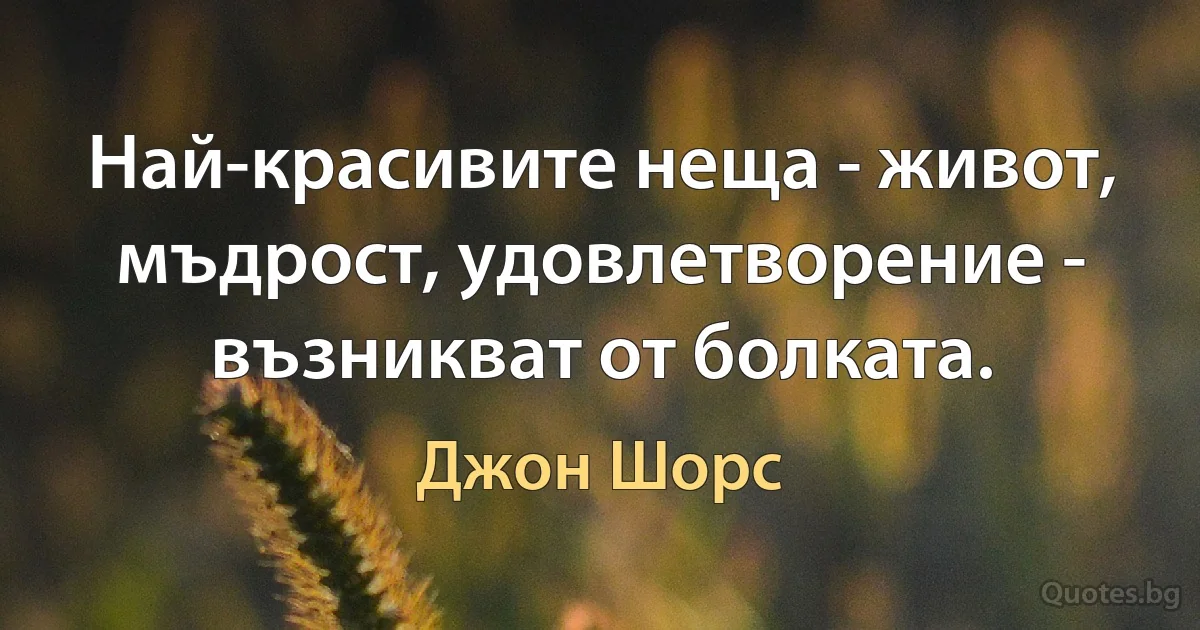 Най-красивите неща - живот, мъдрост, удовлетворение - възникват от болката. (Джон Шорс)