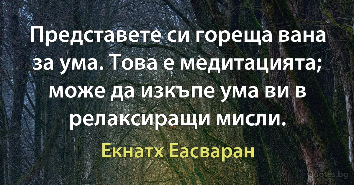 Представете си гореща вана за ума. Това е медитацията; може да изкъпе ума ви в релаксиращи мисли. (Екнатх Еасваран)