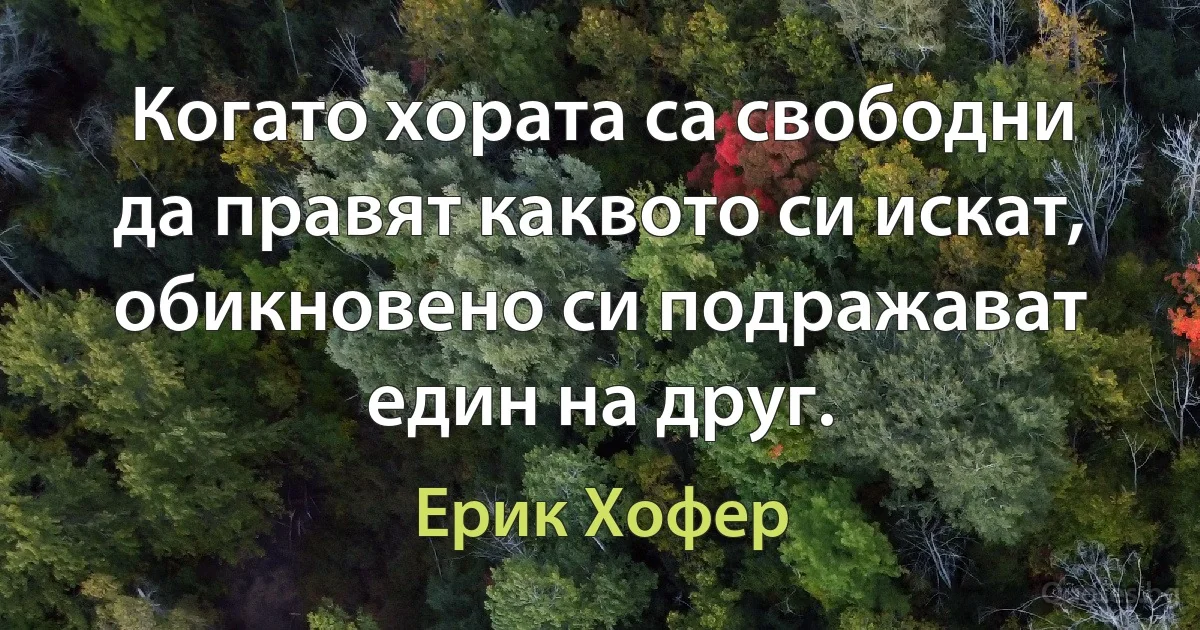 Когато хората са свободни да правят каквото си искат, обикновено си подражават един на друг. (Ерик Хофер)