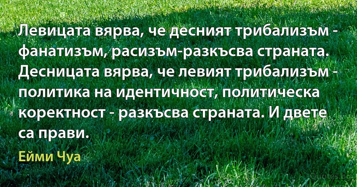 Левицата вярва, че десният трибализъм - фанатизъм, расизъм-разкъсва страната. Десницата вярва, че левият трибализъм - политика на идентичност, политическа коректност - разкъсва страната. И двете са прави. (Ейми Чуа)