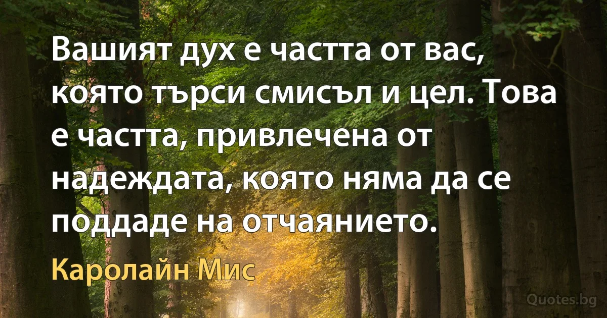 Вашият дух е частта от вас, която търси смисъл и цел. Това е частта, привлечена от надеждата, която няма да се поддаде на отчаянието. (Каролайн Мис)