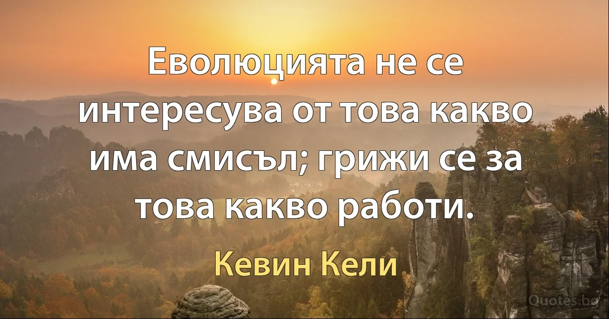 Еволюцията не се интересува от това какво има смисъл; грижи се за това какво работи. (Кевин Кели)