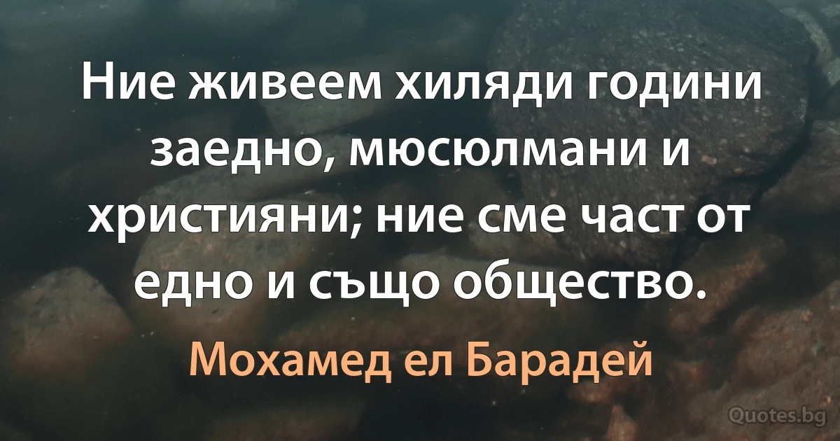 Ние живеем хиляди години заедно, мюсюлмани и християни; ние сме част от едно и също общество. (Мохамед ел Барадей)