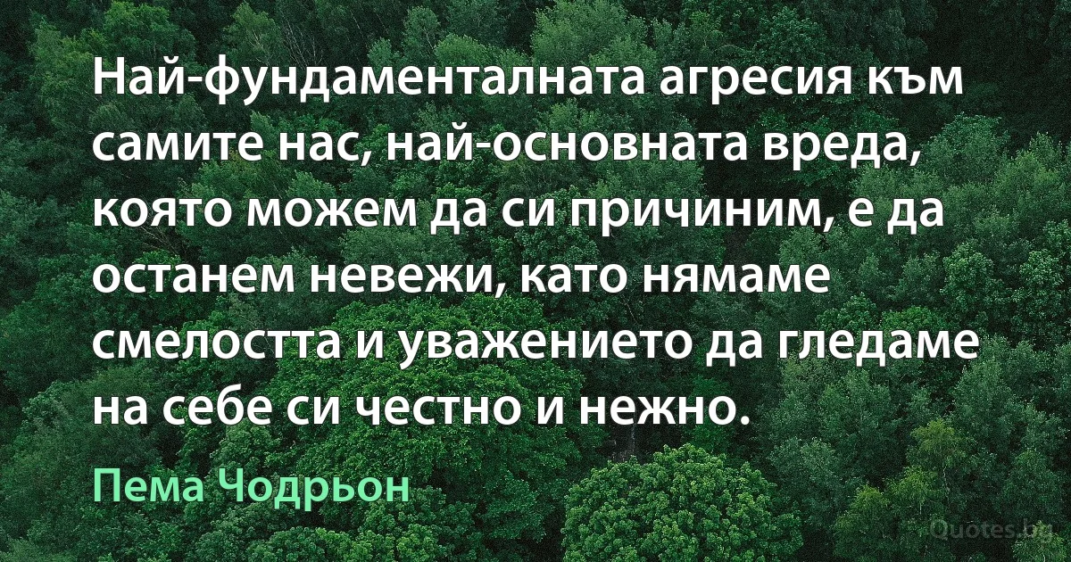 Най-фундаменталната агресия към самите нас, най-основната вреда, която можем да си причиним, е да останем невежи, като нямаме смелостта и уважението да гледаме на себе си честно и нежно. (Пема Чодрьон)