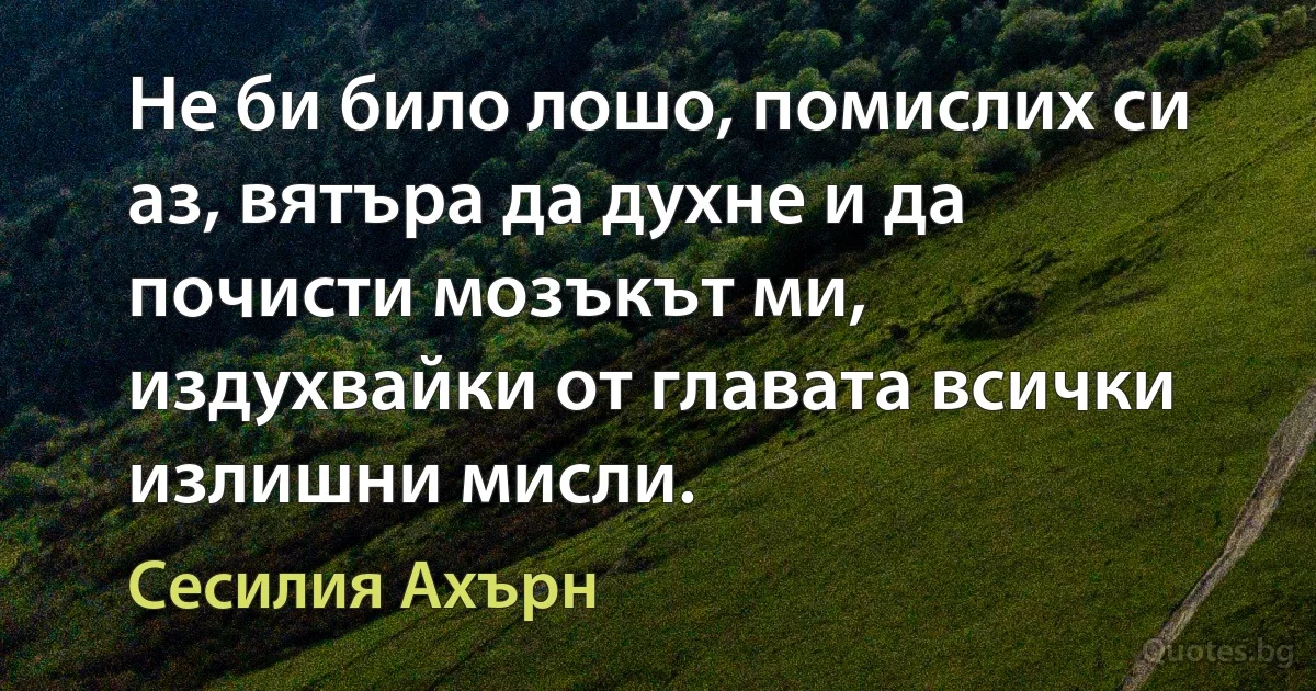 Не би било лошо, помислих си аз, вятъра да духне и да почисти мозъкът ми, издухвайки от главата всички излишни мисли. (Сесилия Ахърн)