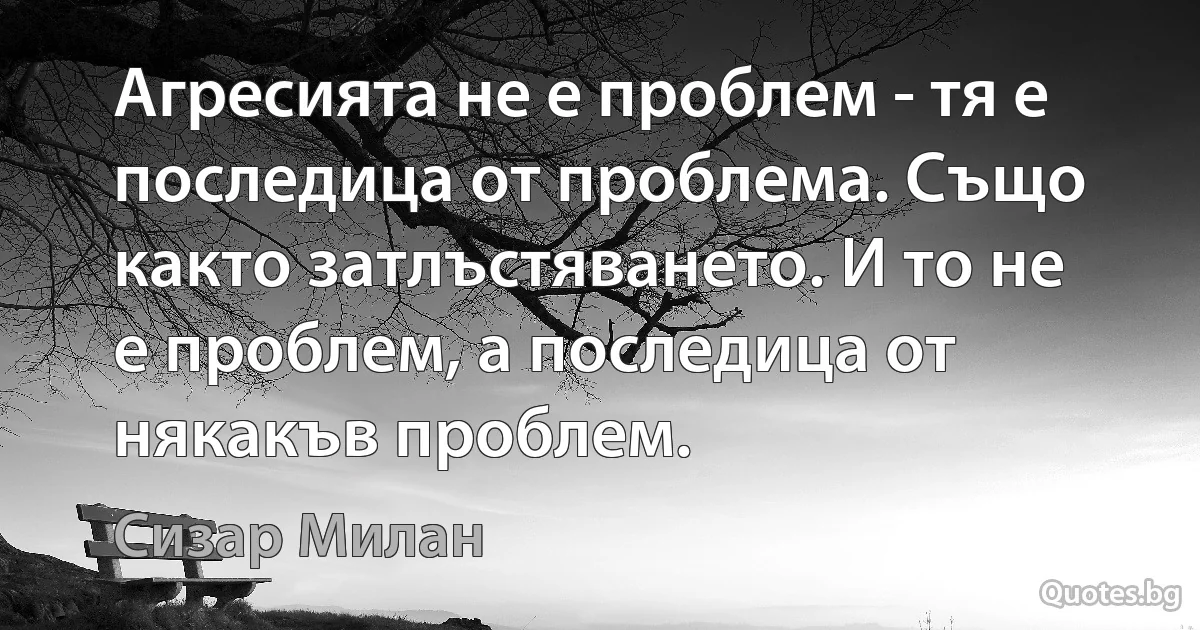 Агресията не е проблем - тя е последица от проблема. Също както затлъстяването. И то не е проблем, а последица от някакъв проблем. (Сизар Милан)