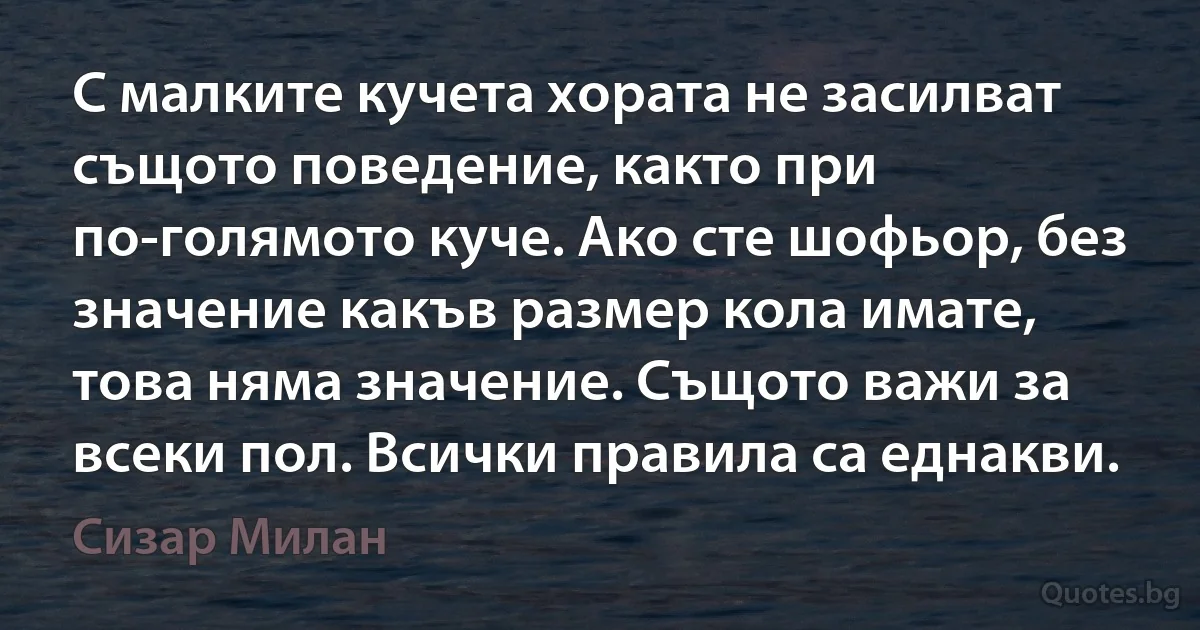 С малките кучета хората не засилват същото поведение, както при по-голямото куче. Ако сте шофьор, без значение какъв размер кола имате, това няма значение. Същото важи за всеки пол. Всички правила са еднакви. (Сизар Милан)