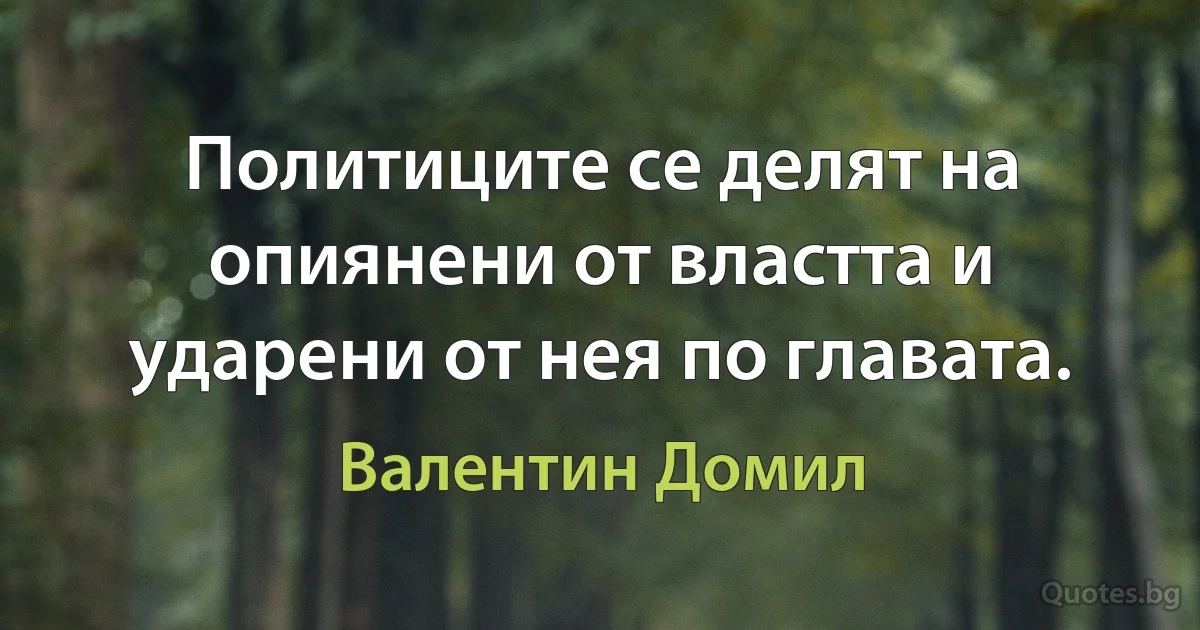 Политиците се делят на опиянени от властта и ударени от нея по главата. (Валентин Домил)