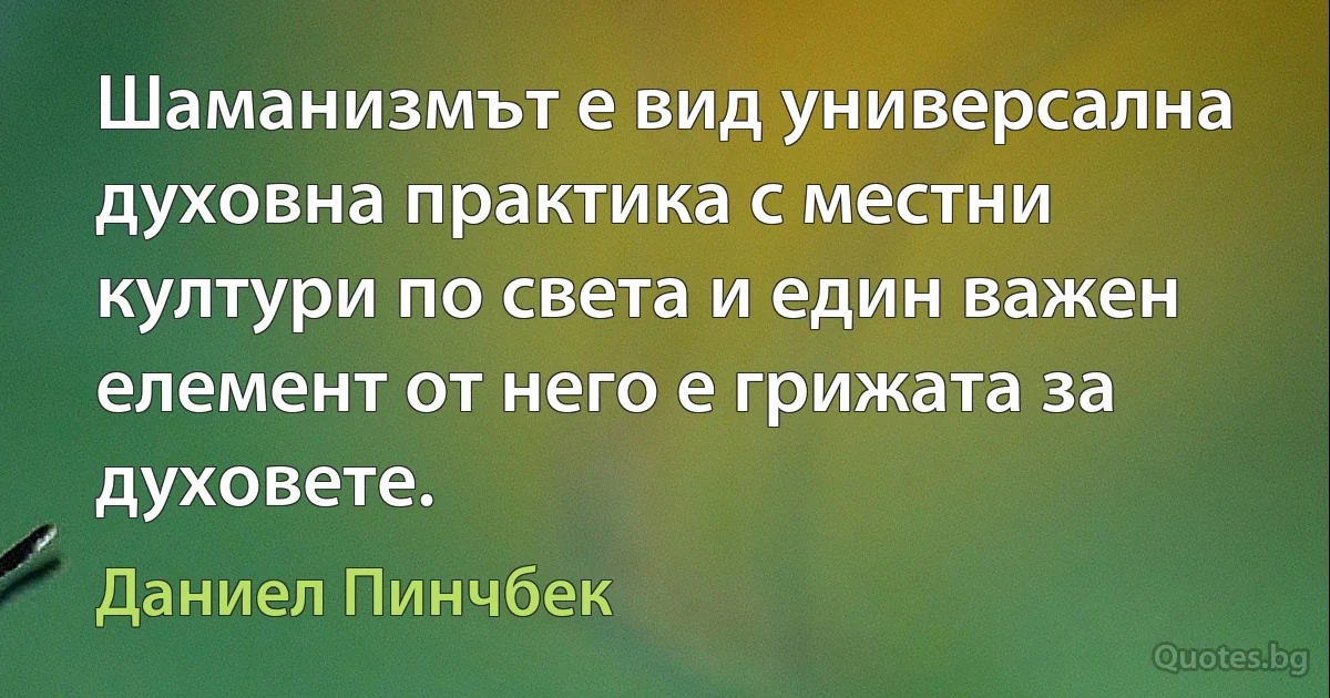 Шаманизмът е вид универсална духовна практика с местни култури по света и един важен елемент от него е грижата за духовете. (Даниел Пинчбек)