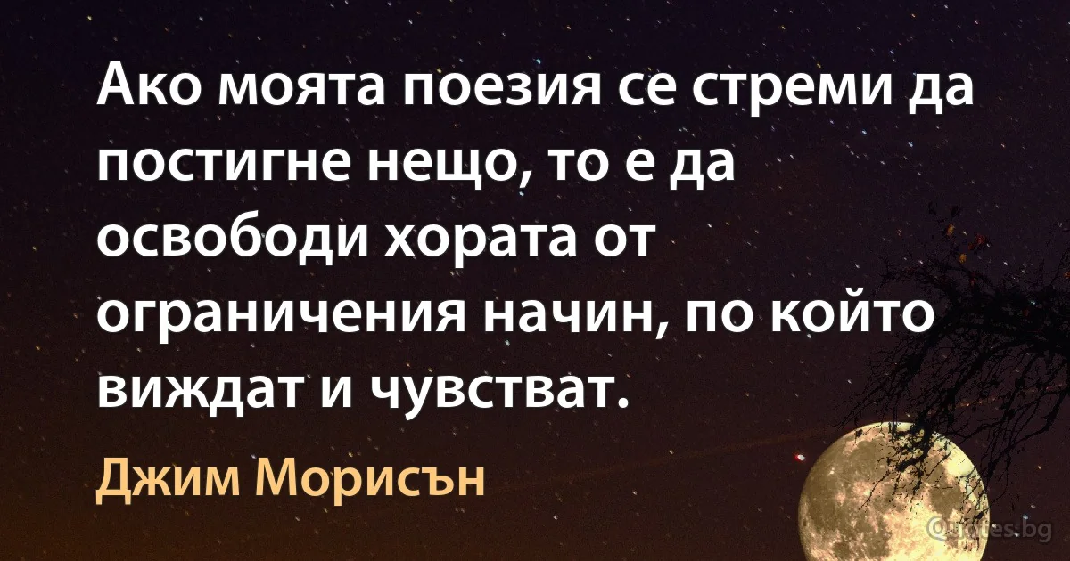 Ако моята поезия се стреми да постигне нещо, то е да освободи хората от ограничения начин, по който виждат и чувстват. (Джим Морисън)