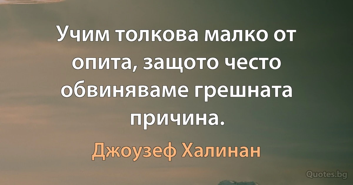 Учим толкова малко от опита, защото често обвиняваме грешната причина. (Джоузеф Халинан)