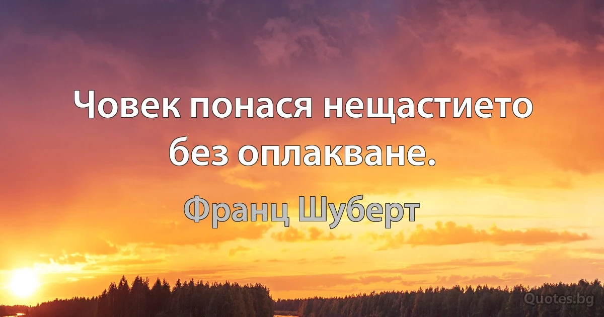 Човек понася нещастието без оплакване. (Франц Шуберт)