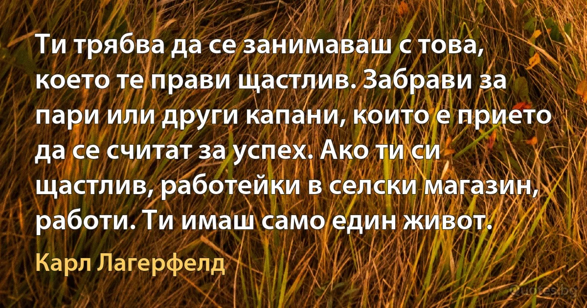 Ти трябва да се занимаваш с това, което те прави щастлив. Забрави за пари или други капани, които е прието да се считат за успех. Ако ти си щастлив, работейки в селски магазин, работи. Ти имаш само един живот. (Карл Лагерфелд)