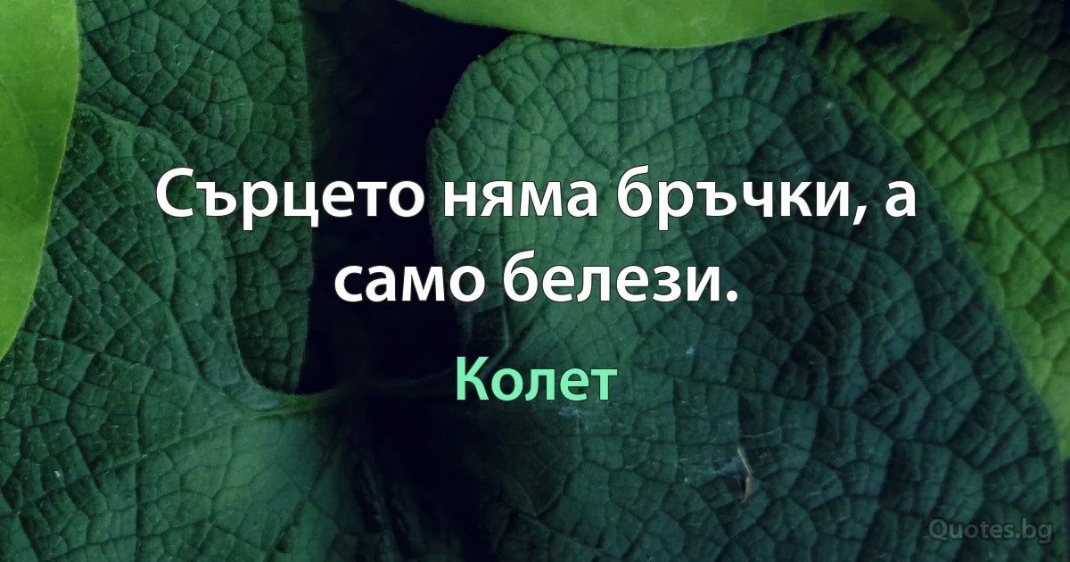 Сърцето няма бръчки, а само белези. (Колет)