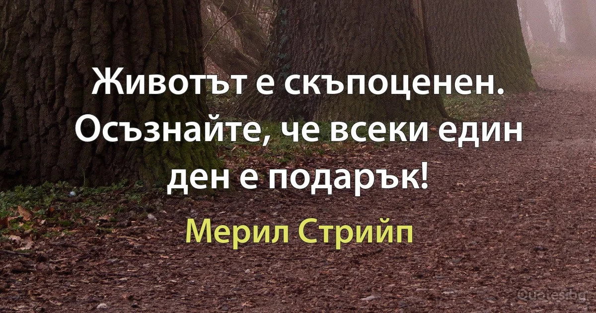 Животът е скъпоценен. Осъзнайте, че всеки един ден е подарък! (Мерил Стрийп)