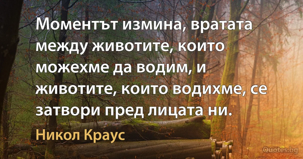 Моментът измина, вратата между животите, които можехме да водим, и животите, които водихме, се затвори пред лицата ни. (Никол Краус)