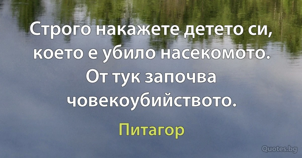 Строго накажете детето си, което е убило насекомото. От тук започва човекоубийството. (Питагор)