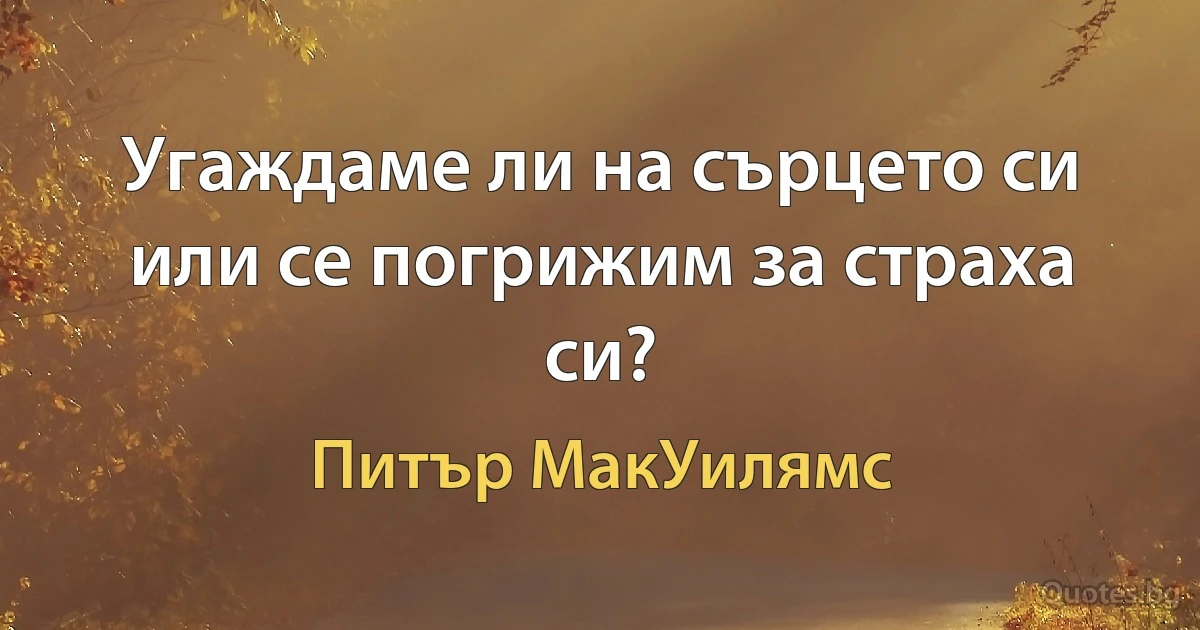 Угаждаме ли на сърцето си или се погрижим за страха си? (Питър МакУилямс)