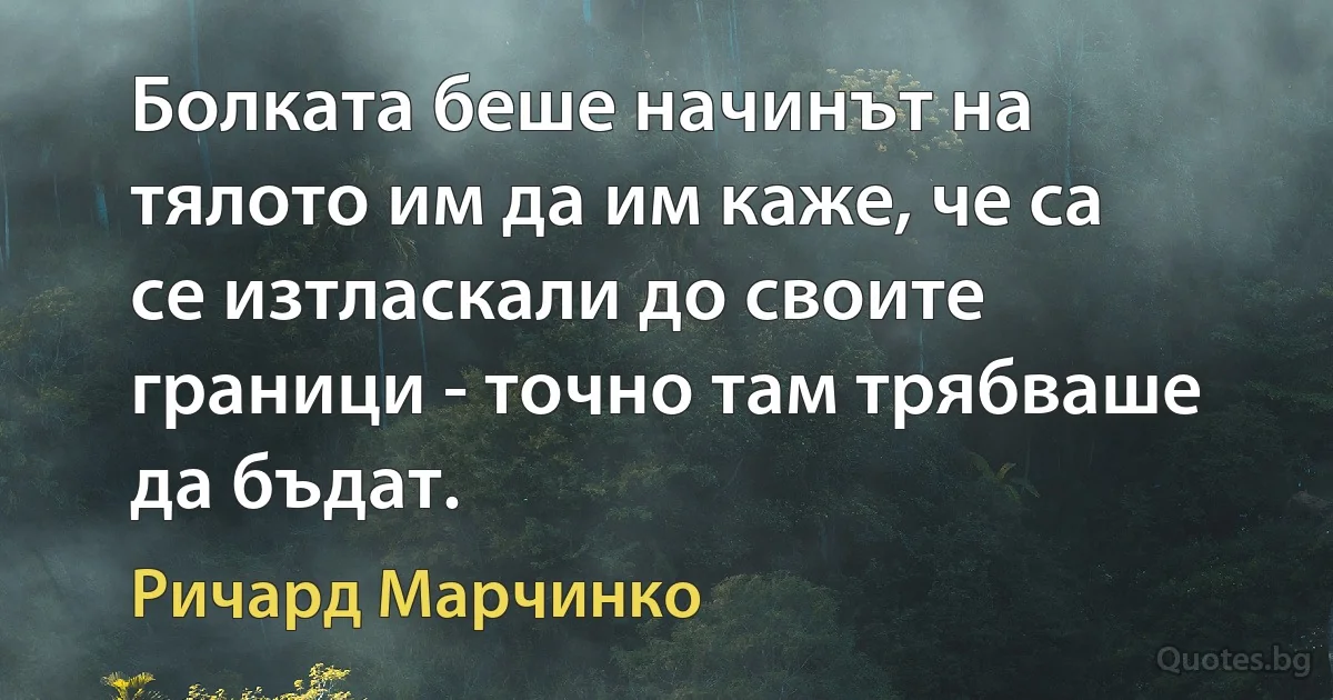 Болката беше начинът на тялото им да им каже, че са се изтласкали до своите граници - точно там трябваше да бъдат. (Ричард Марчинко)