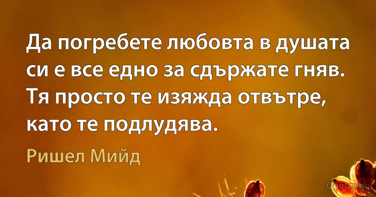 Да погребете любовта в душата си е все едно за сдържате гняв. Тя просто те изяжда отвътре, като те подлудява. (Ришел Мийд)