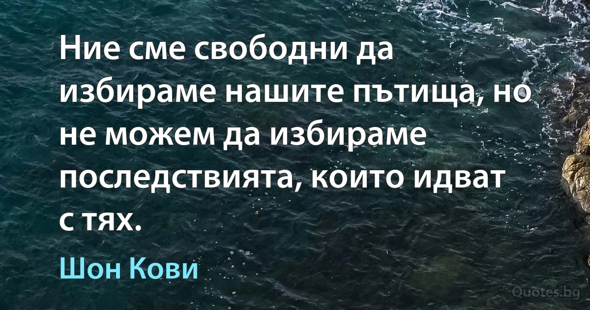 Ние сме свободни да избираме нашите пътища, но не можем да избираме последствията, които идват с тях. (Шон Кови)