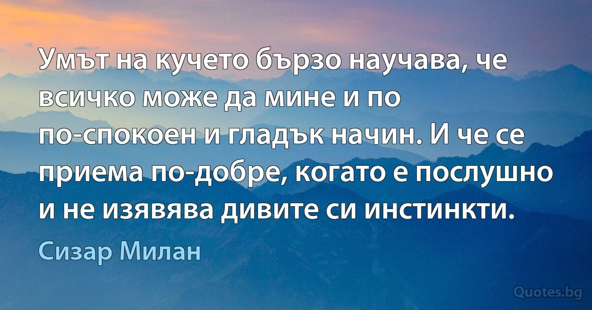 Умът на кучето бързо научава, че всичко може да мине и по по-спокоен и гладък начин. И че се приема по-добре, когато е послушно и не изявява дивите си инстинкти. (Сизар Милан)