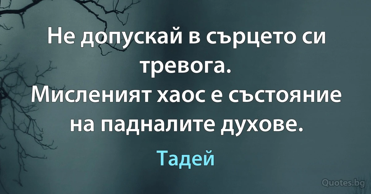 Не допускай в сърцето си тревога. 
Мисленият хаос е състояние на падналите духове. (Тадей)